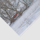 Papier Mousseline Grange d'hiver Turquoise (Détail)