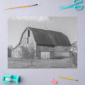 Papier Mousseline Grange en bois noir et blanc (Artisanat)