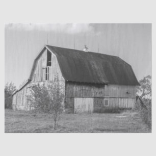 Papier Mousseline Grange en bois noir et blanc