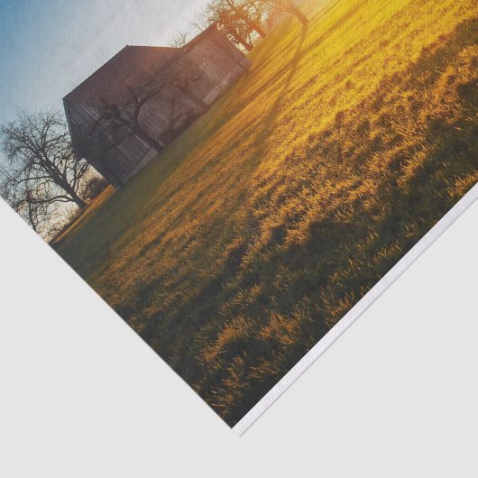 Papier Mousseline Grange et champ ensoleillés (Détail)