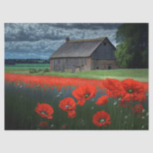 Grange par temps maussade et coquelicots