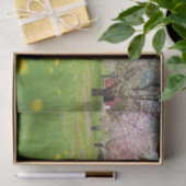 Papier Mousseline Grange Rouge Snazzy Posée Avec Arbres Roses et Fle (Cadeau)