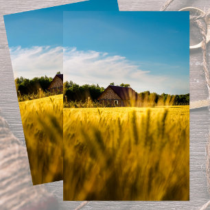 Papier Mousseline Grange rurale dans un champ de blé doré scintillan