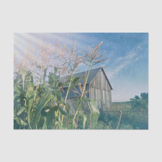 Papier Mousseline Grange Rustique Bleu Ciel Rayons de Soleil (Recto)