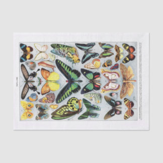 Papier Mousseline Graphique à papillons Vintage authentique (pas AI)