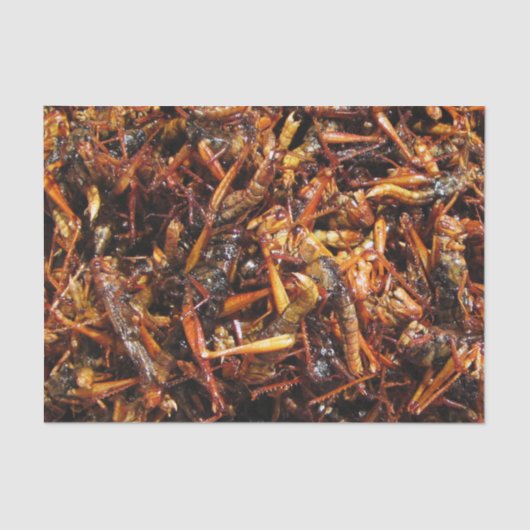 Papier Mousseline Grasshopper frit (Takkataen Thot) Alimentation asi (Recto)