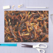 Papier Mousseline Grasshopper frit (Takkataen Thot) Alimentation asi (Artisanat)