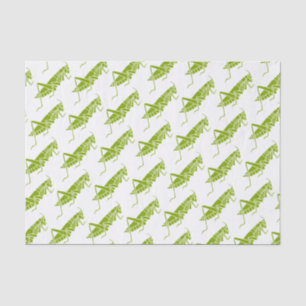 Papier Mousseline Grasshoppers