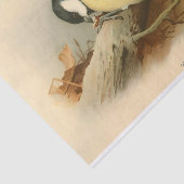 Papier Mousseline Great Tit par Lord Lilford, Illustration (Détail)