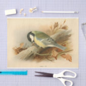 Papier Mousseline Great Tit par Lord Lilford, Illustration (Artisanat)