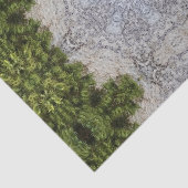 Papier Mousseline Green Moss & Earth Nature Art (Détail)