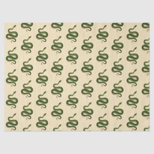 Papier Mousseline Green Snake (Recto)