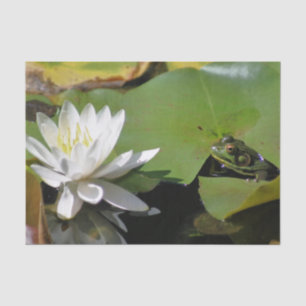 Papier Mousseline Grenouille Admirant L'Eau Lily Découpage