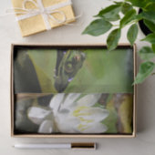 Papier Mousseline Grenouille Admirant L'Eau Lily Découpage (Cadeau)
