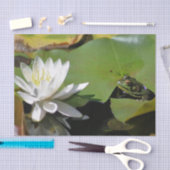 Papier Mousseline Grenouille Admirant L'Eau Lily Découpage (Artisanat)