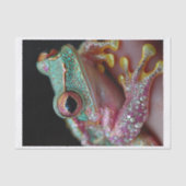 Papier Mousseline Grenouilles et diamants10 (Recto)