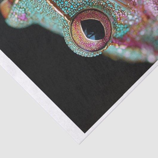 Papier Mousseline Grenouilles et diamants10 (Détail)