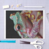 Papier Mousseline Grenouilles et diamants10 (Artisanat)