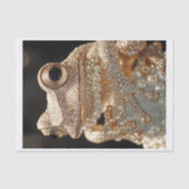 Papier Mousseline Grenouilles et diamants11 (Recto)