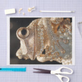 Papier Mousseline Grenouilles et diamants11 (Artisanat)