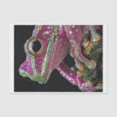 Papier Mousseline Grenouilles et diamants2 (Recto)