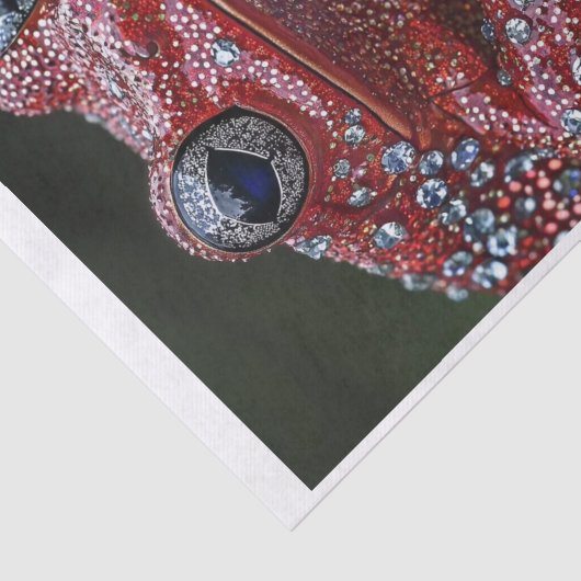 Papier Mousseline Grenouilles et diamants6 (Détail)