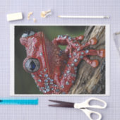 Papier Mousseline Grenouilles et diamants6 (Artisanat)