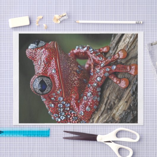 Papier Mousseline Grenouilles et diamants6 (Artisanat)