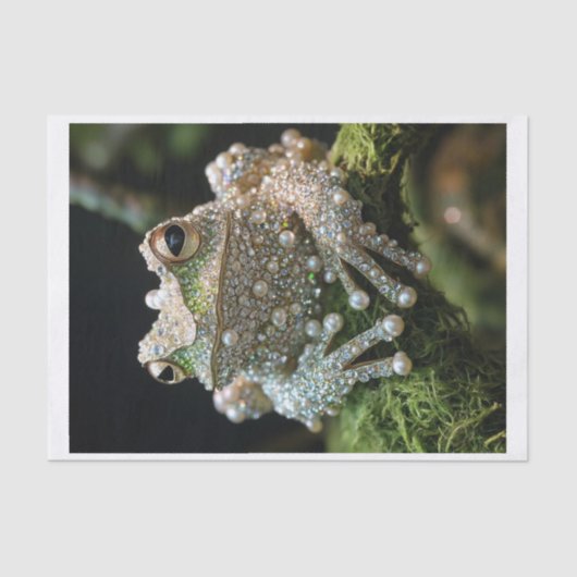 Papier Mousseline Grenouilles et diamants9 (Recto)