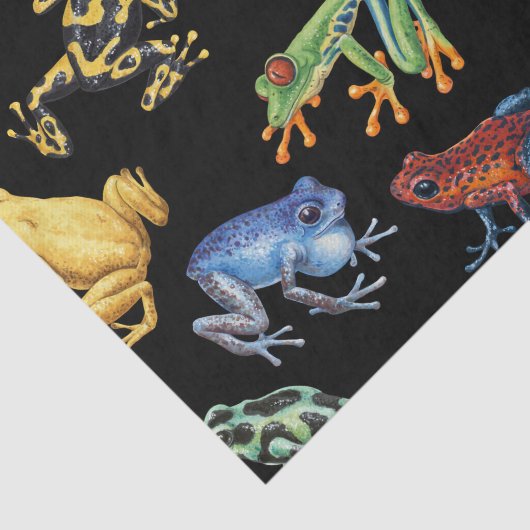 Papier Mousseline Grenouilles sur noir (Détail)