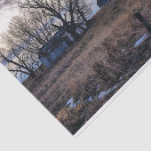 Papier Mousseline Gris abattu dans un champ d'herbe Brown (Détail)