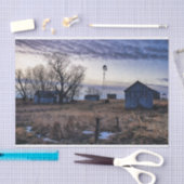 Papier Mousseline Gris abattu dans un champ d'herbe Brown (Artisanat)