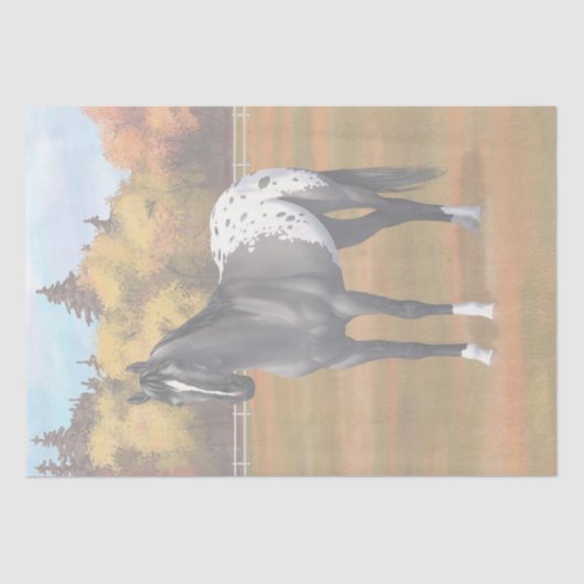 Papier Mousseline Gris Grulla Appaloosa Quartier Horse Stallion (Recto)