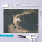 Papier Mousseline Grizzly Bear (Artisanat)