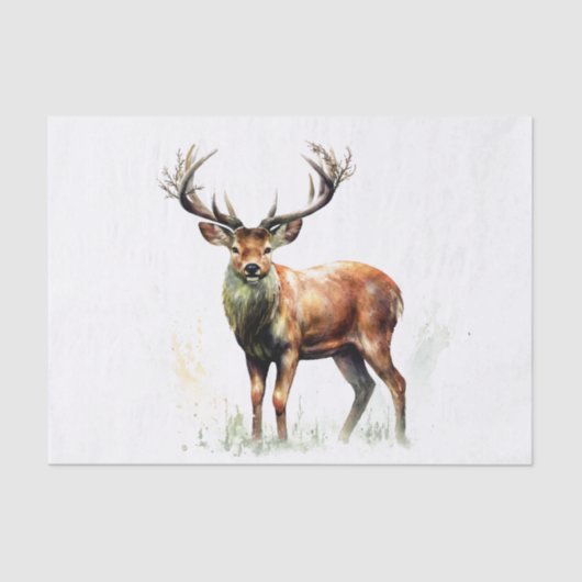 Papier Mousseline Gros Cerf Raté (Recto)