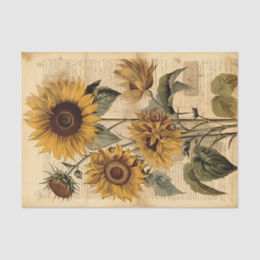 Papier Mousseline Gros, Joyeux tournesols Vintages sur script (Recto)