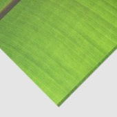 Papier Mousseline Gros plan de la feuille de banane (Détail)