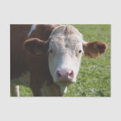 Papier Mousseline Gros plan, Partie 3 (Recto)