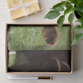 Papier Mousseline Gros plan, Partie 3 (Cadeau)