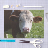 Papier Mousseline Gros plan, Partie 3 (Artisanat)