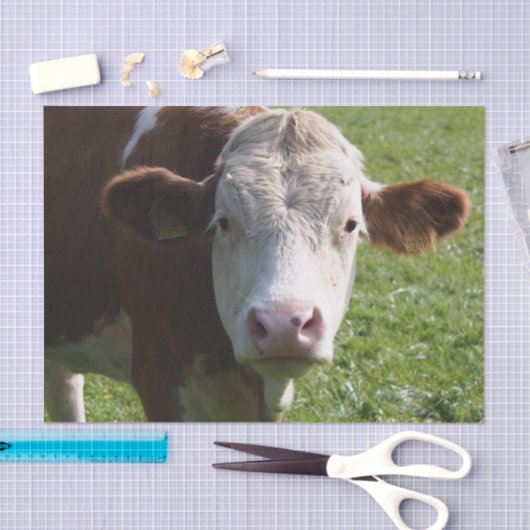 Papier Mousseline Gros plan, Partie 3 (Artisanat)