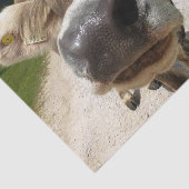 Papier Mousseline Gros plan, Partie 6 : The Curious Cow Edition (Détail)