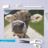 Papier Mousseline Gros plan, Partie 6 : The Curious Cow Edition (Artisanat)