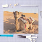 Papier Mousseline Gros plan sur drôles de chameaux dans le désert d' (Artisanat)