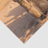 Papier Mousseline Gros plan sur drôles de chameaux dans le désert d' (Détail)