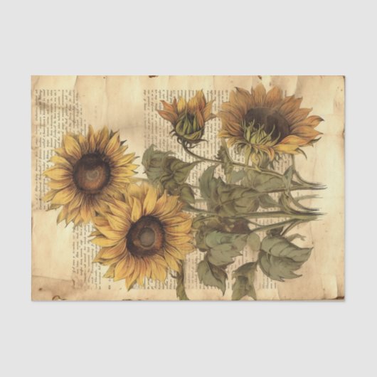 Papier Mousseline Gros tournesols Vintages sur script (Recto)