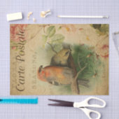 Papier Mousseline Grosbeaks Postale À La Carte Française (Artisanat)