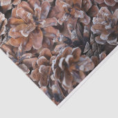 Papier Mousseline Groupe de cônes de pin (Détail)