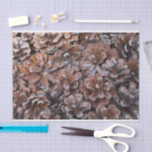 Papier Mousseline Groupe de cônes de pin (Artisanat)