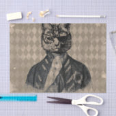 Papier Mousseline Grunge de chat de harlequin (Artisanat)